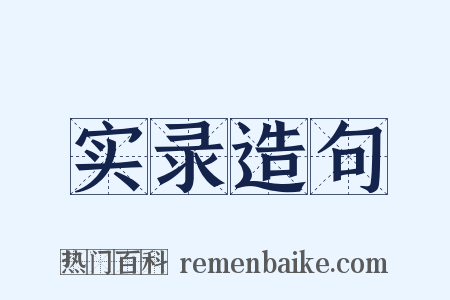 实录造句是什么意思的图片